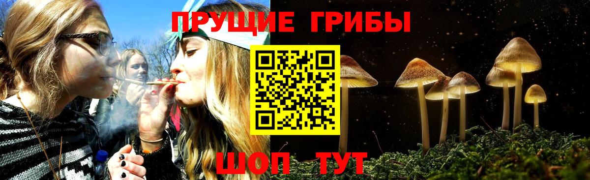 Псилоцибиновые грибы ЛСД Асино